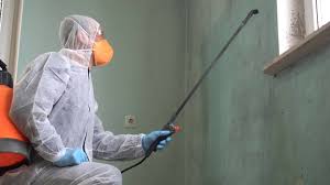 Best Commercial Mold Inspection  in Brown City, MI